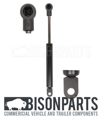 Sunroof gas strut 81970066000 - sunroof,